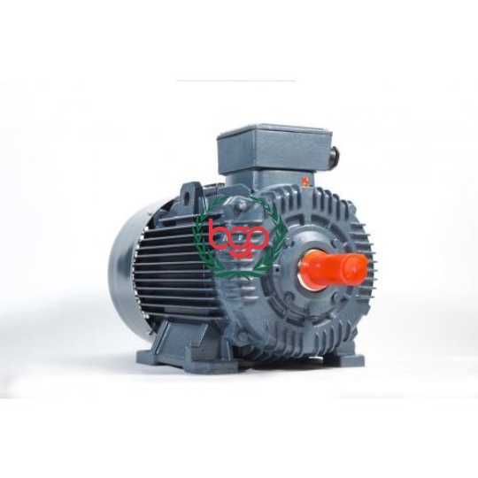 ĐỘNG CƠ ĐIỆN 3 PHA HIỆU SUẤT CAO