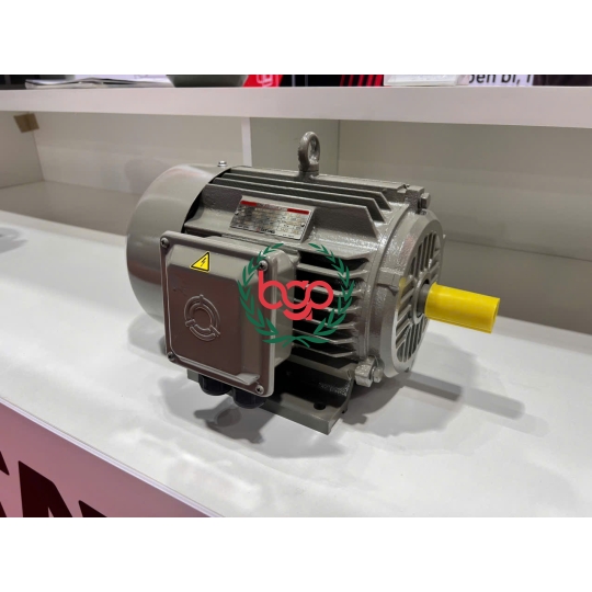 MOTOR TA TUNG 4HP